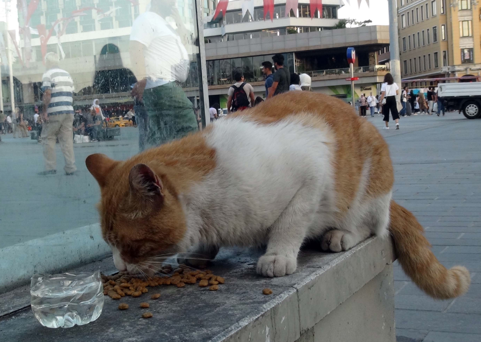 İstanbul 40 derece sıcaklığı gördü! Turistler Taksim Meydanı'nda bakın nasıl önlem aldı