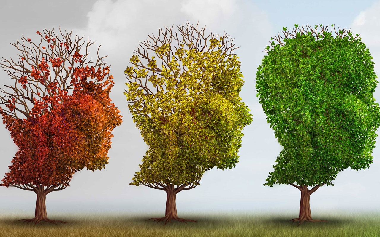Alzheimer hastalığından koruyan besinler nelerdir? İşte yapmanız gerekenler