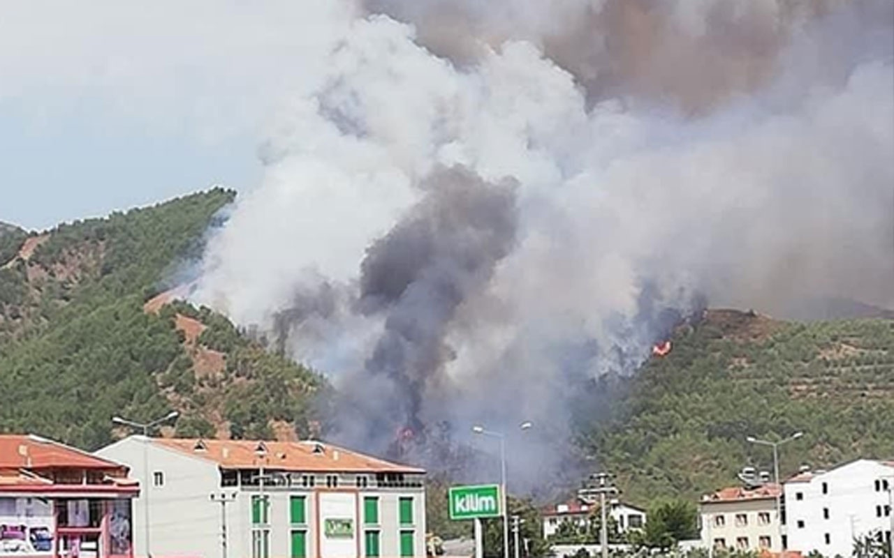 Dalaman ve Milas'tan sonra Fethiye'de yangın başladı!
