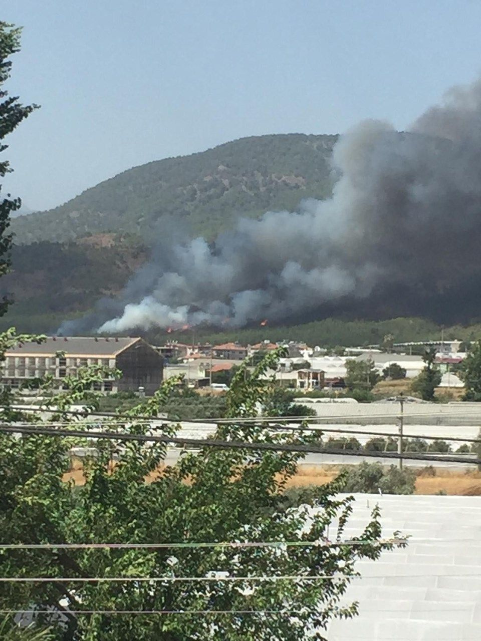 Dalaman ve Milas'tan sonra Fethiye'de yangın başladı!