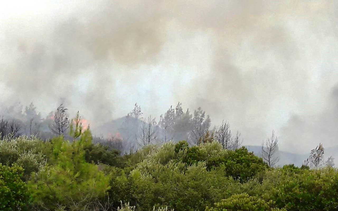 Muğla’daki ikinci yangın evlere ulaşamadan söndürüldü