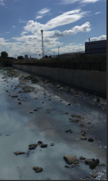 Tekirdağ'da Kavak Deresi'ne içeriği belli olmayan kimyasal madde karıştığı belirlendi