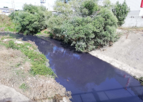 Tekirdağ'da Kavak Deresi'ne içeriği belli olmayan kimyasal madde karıştığı belirlendi