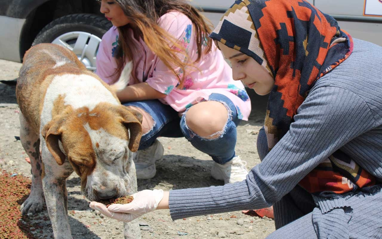 Her gün aç geziyordu nedeni ise şaşırttı