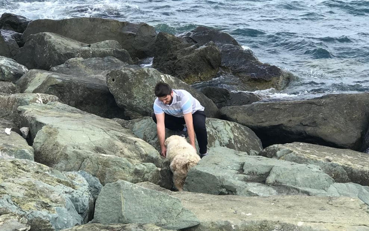 Kayalıklara sıkışan köpeği sahilden geçen bir genç kurtardı