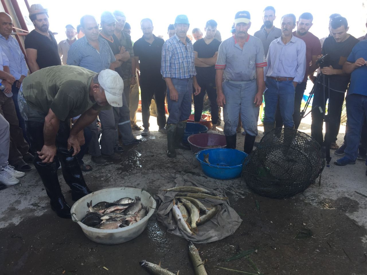 Bursa'da 100 yıldır bu iş yapılıyor! Tutulan balıklar açık artırmayla satılıyor