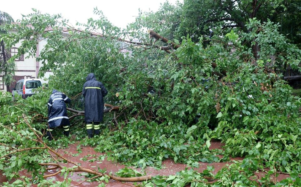 Kocaeli'de sağanak yağmur hayatı felç etti! Araçların üzerine ağaç devrildi