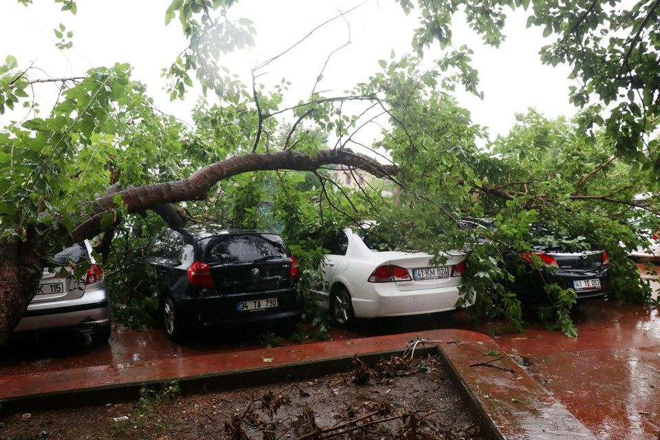Kocaeli'de sağanak yağmur hayatı felç etti! Araçların üzerine ağaç devrildi