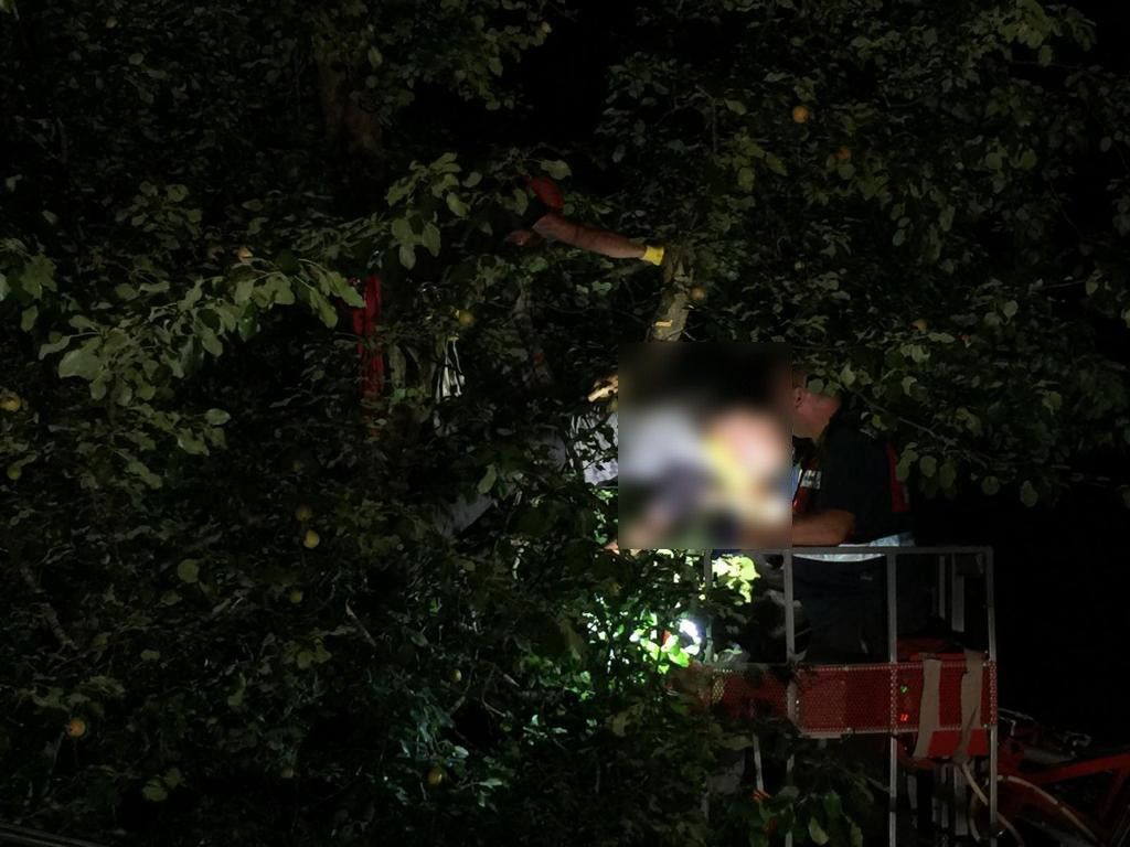Rize'de ağaca çıkan talihsiz adam elektrik akımına kapılarak can verdi