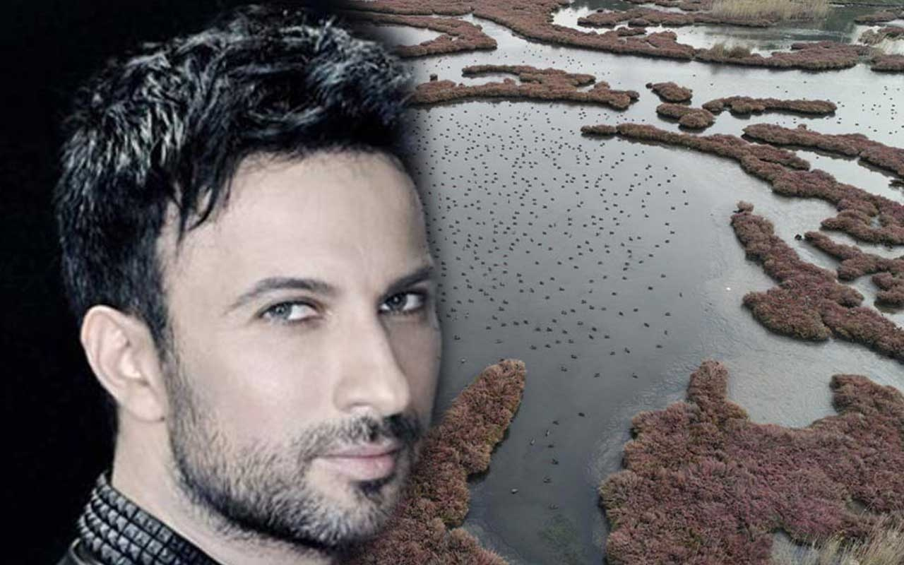 Tarkan, Gediz Deltası için destek istedi