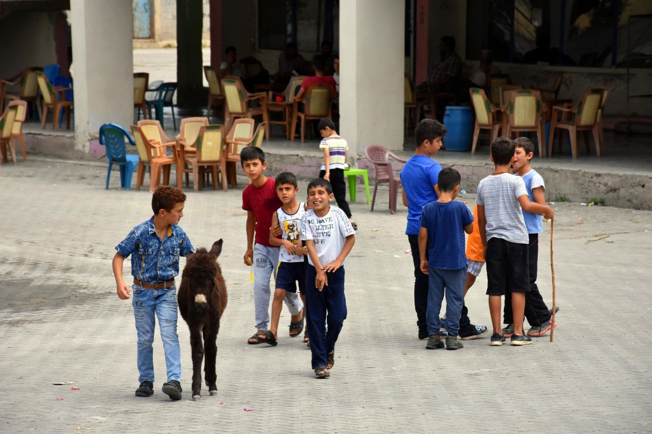 Muş'ta 4 aylıkken annesi ölen sıpaya sahip çıktılar! Özsüz sıpa beldenin maskotu oldu