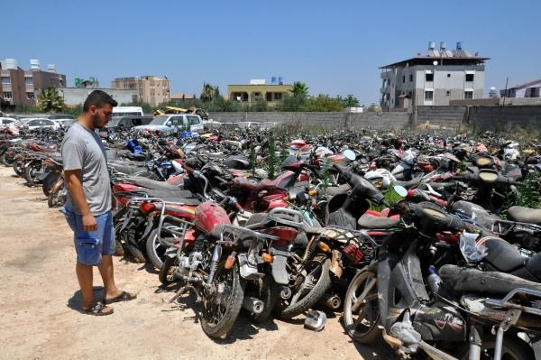 Reyhanlı'da bir servet çürüyor! 6 milyon lira çöp oluyor