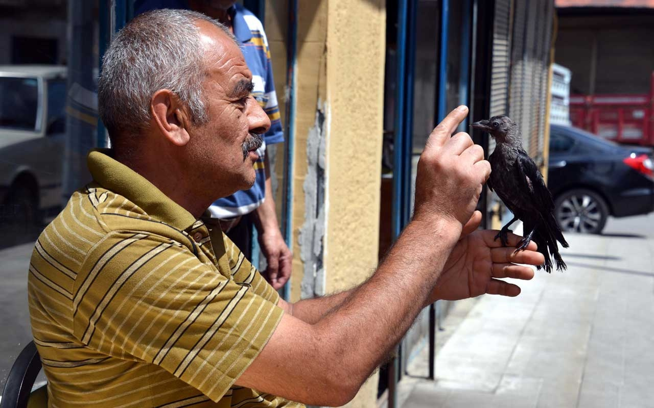 Kediden kurtarmıştı şimdi ise bakımını yapıyor