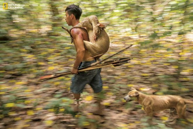 Amazon ormanlarında ilkel Awa Kabilesi üyelerinin yeni görüntüleri ortaya çıktı