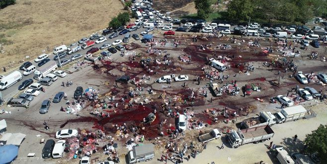 Kurban Bayramı yaklaşıyor! TESK'ten kör bıçak ve sahte kasap uyarısı