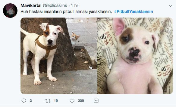 Adana'daki dehşet olay sonrası 'PitbullYasaklansın' etiketi TT oldu - Sayfa 11