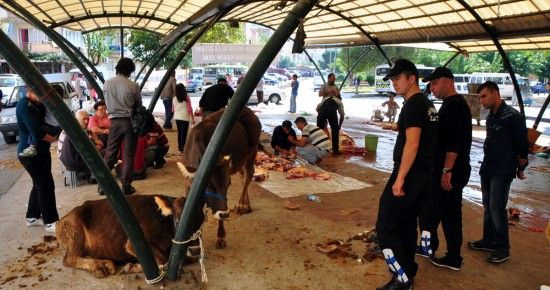 Kurban Bayramı yaklaşıyor! TESK'ten kör bıçak ve sahte kasap uyarısı