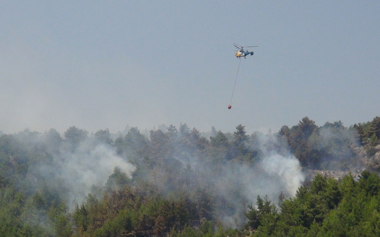 Mersin'de orman yangını! Kontrol altına alındı