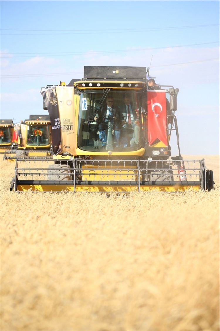 Cumhurbaşkanı Erdoğan, Hasat Bayramı'nda biçerdöver kullandı