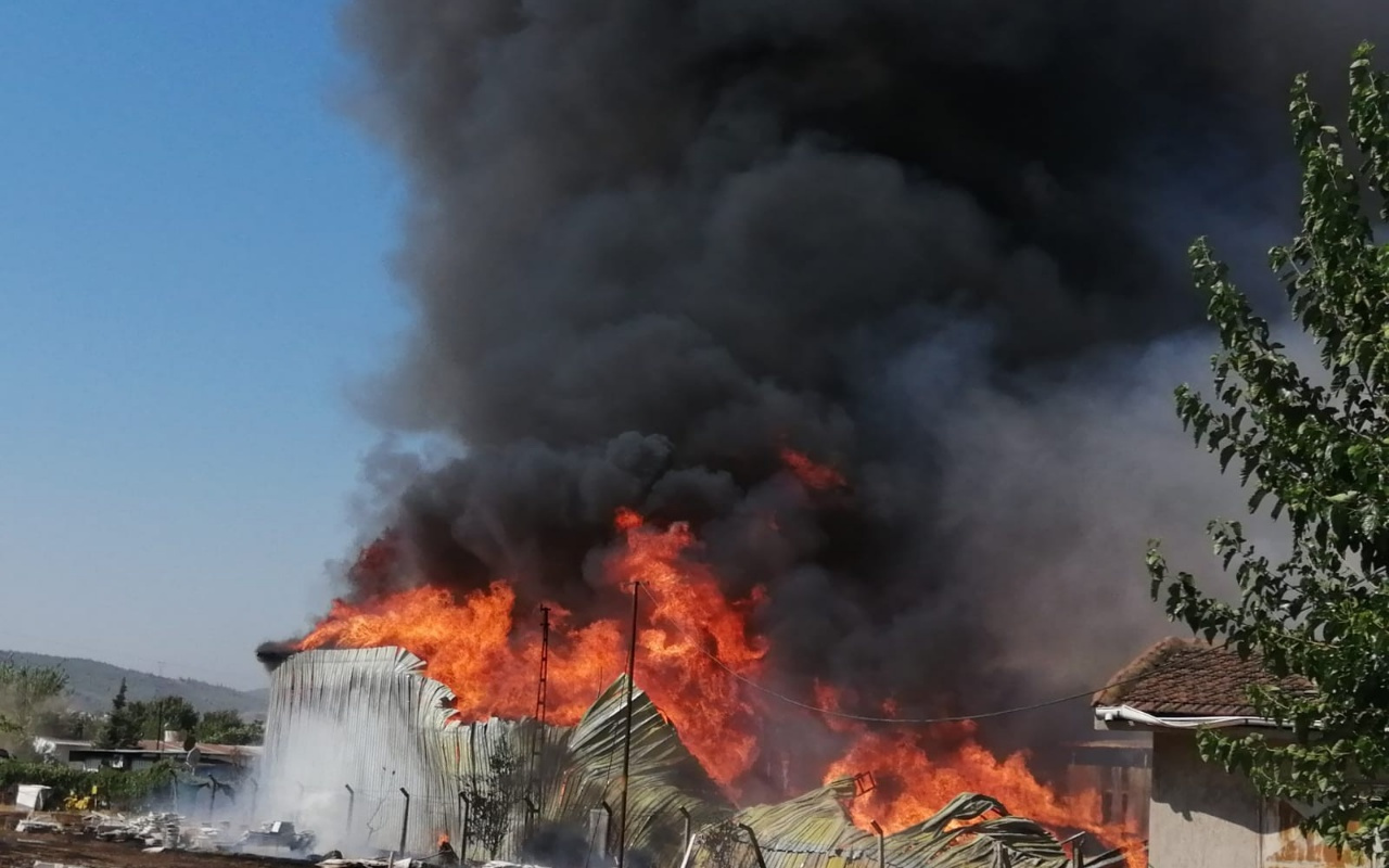 İzmir Bornova'da palet fabrikası alev alev yanıyor