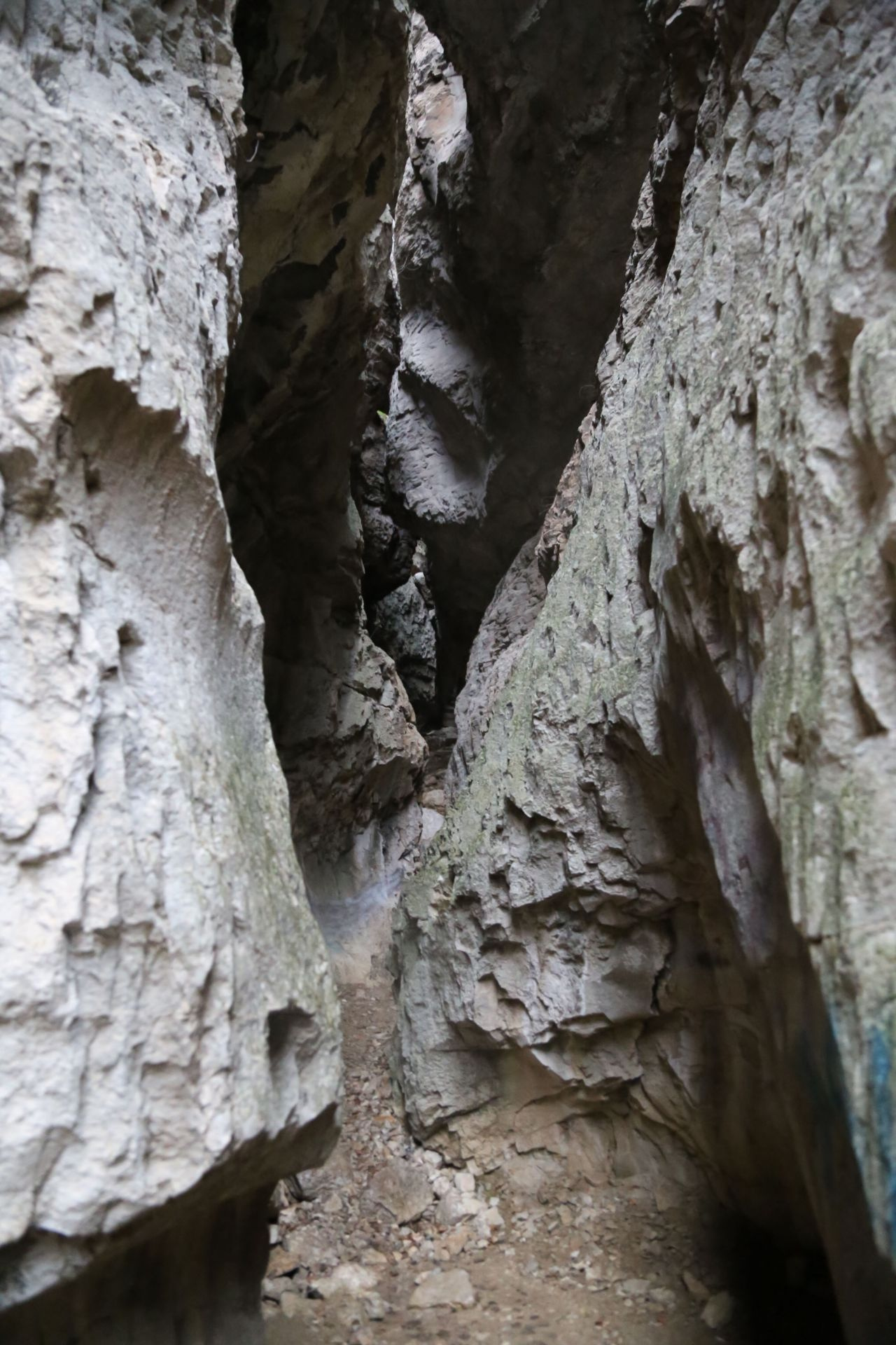 Dünyanın en tehlikeli saklı cenneti Artvin'de