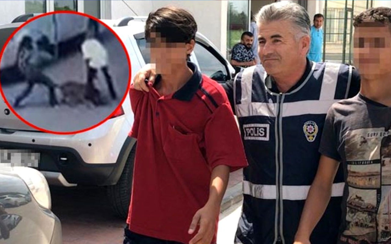 Adana'da hamile kediyi Pitbull'a parçalatmışlardı! Haluk Levent o çocuklara sahip çıktı