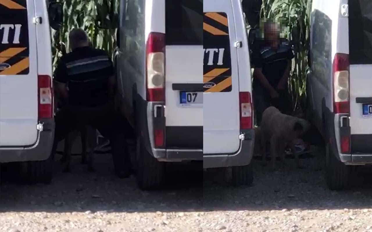 Antalya'da köpeğe cinsel saldırı kamerada!