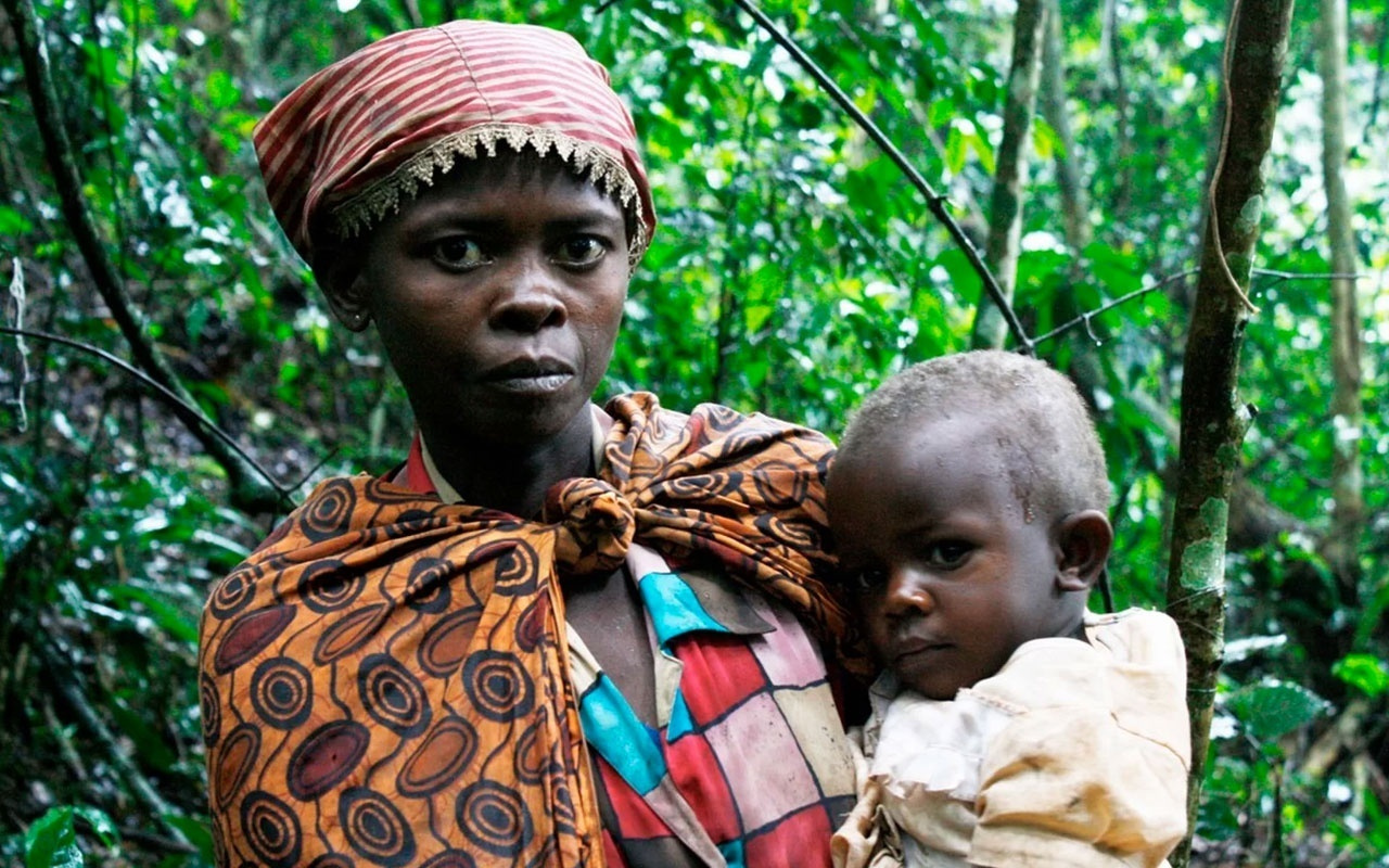 Ağaç kabuğuyla kürtaj! Dünya bu olayı konuşuyor Pygmy kabilesine bakın