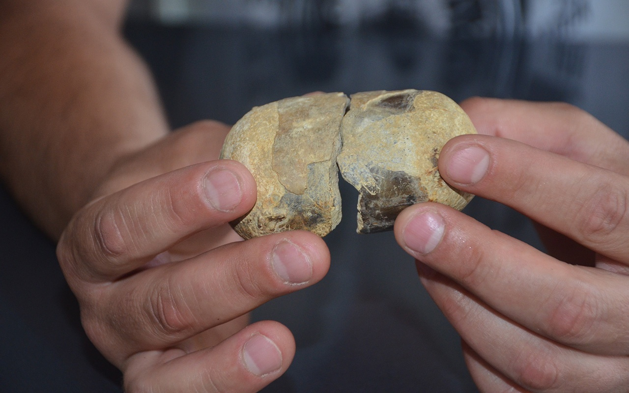 Denizi olmayan Bilecik'te deniz canlıları fosilleri bulundu
