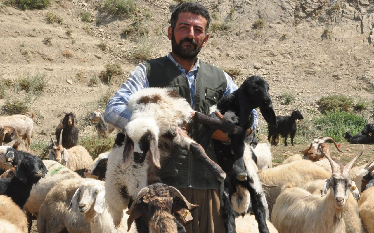İran'dan gelip çobanlık yapıyor! Sadece 3 bin 200 TL kazanıyor