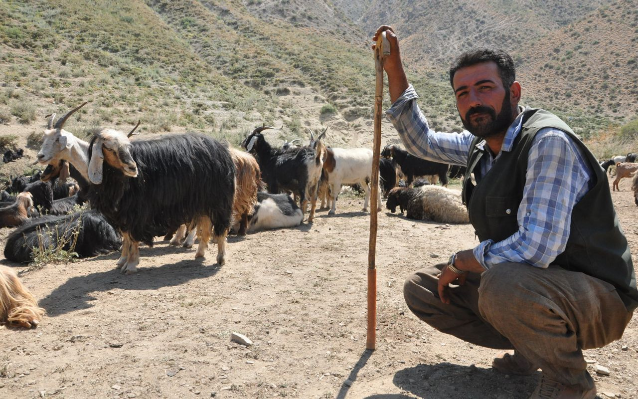 İran'dan gelip çobanlık yapıyor! Sadece 3 bin 200 TL kazanıyor