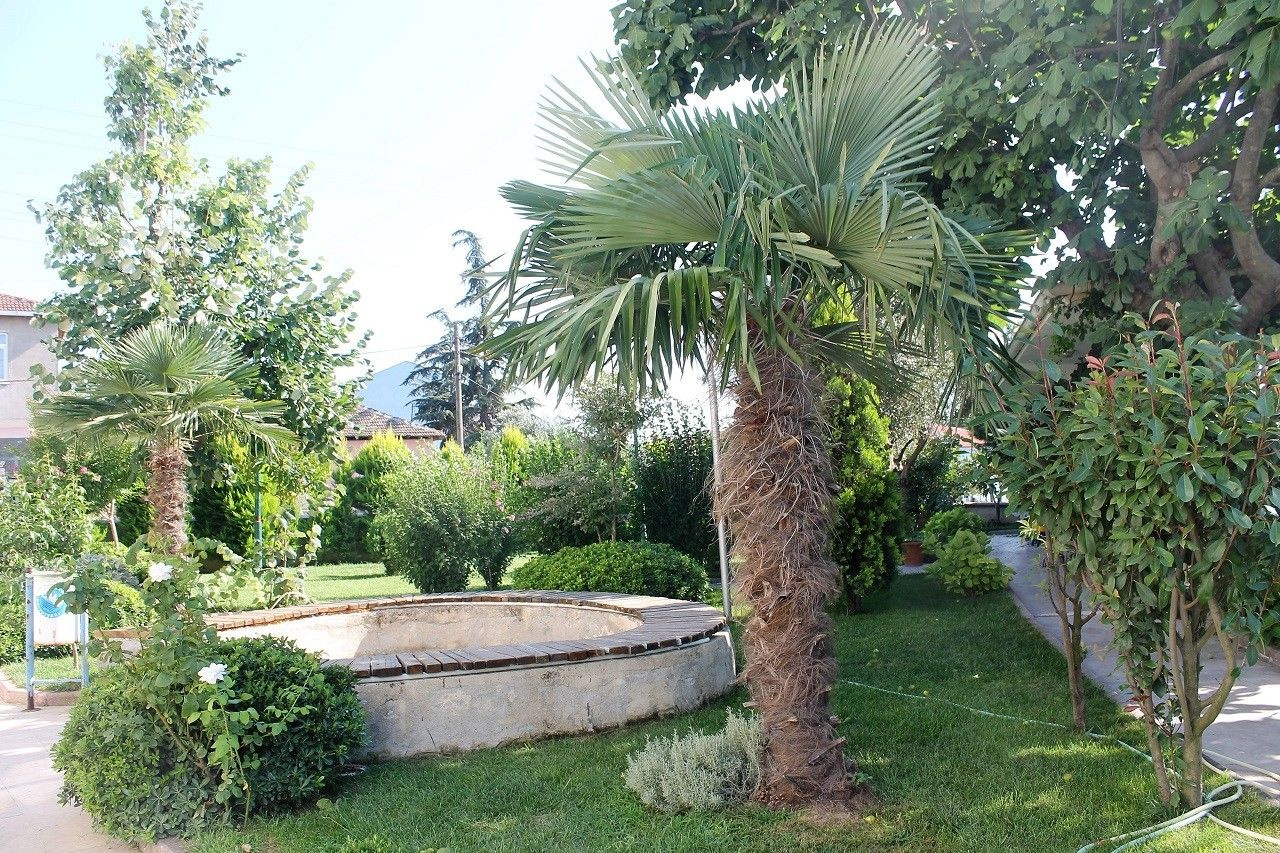 Balıkesir'de imam camiyi botanik bahçeye çevirdi takdir topladı