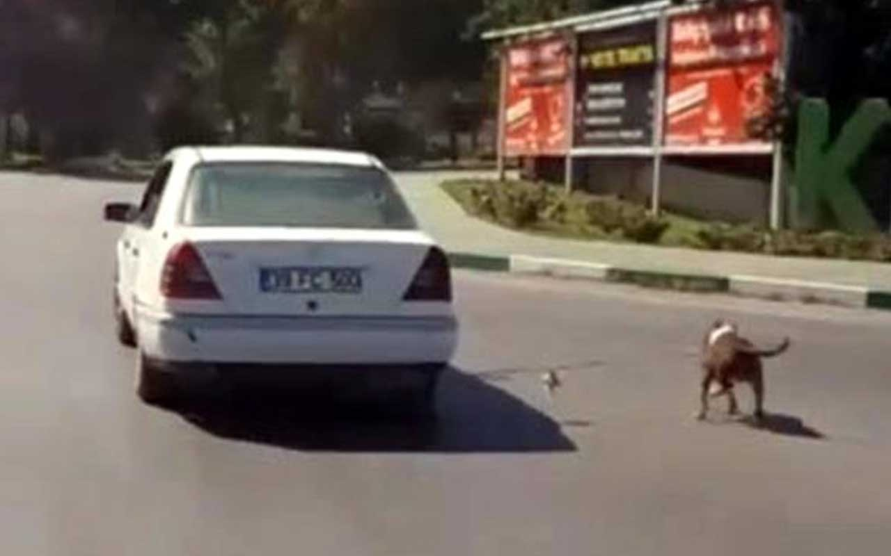 Köpeğini otomobilin arkasına bağlayarak götürdü