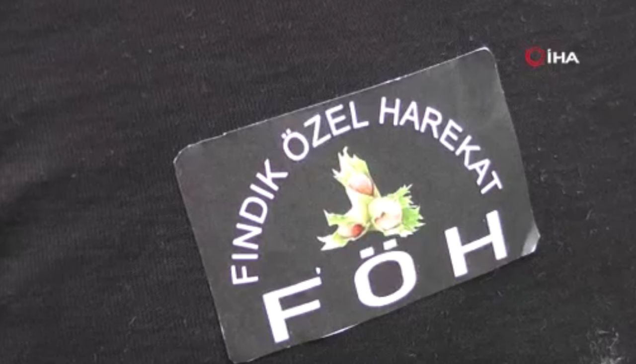 Ordu'da Fındık Özel Harekat Timi kuruldu özel kıyafetleri var eğitimleri de bir hayli zor