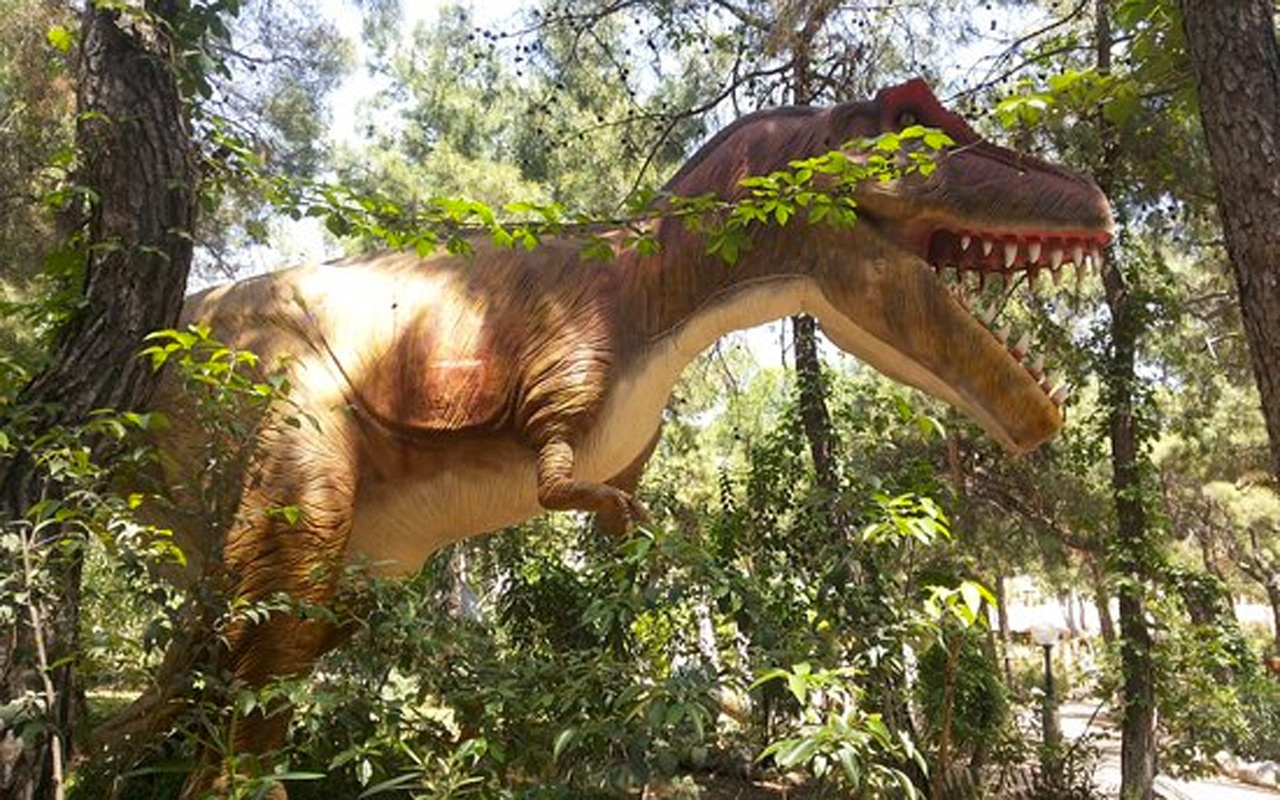 Yeni bir dinozor türü keşfedildi