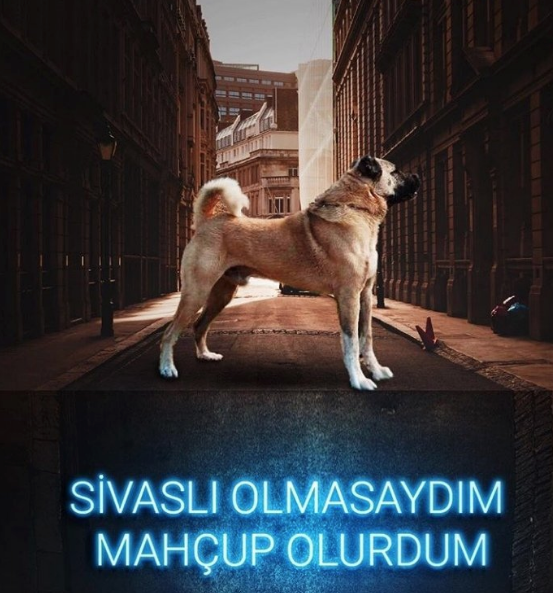 Sivas capsleri TT oldu! Dünya Sivaslılar gününde sosyal medyayı salladılar