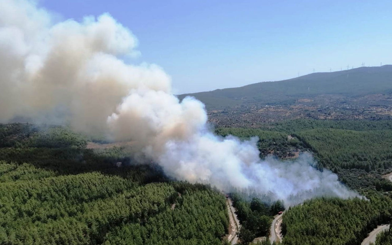 Bodrum'da çıkan orman yangınında alevler köylere ulaştı