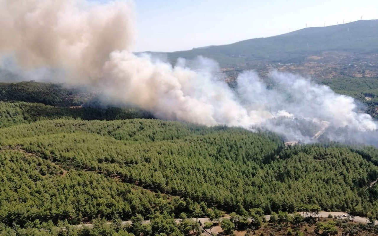 Muğla'da ormanda çıkan yangın köylere ulaştı!