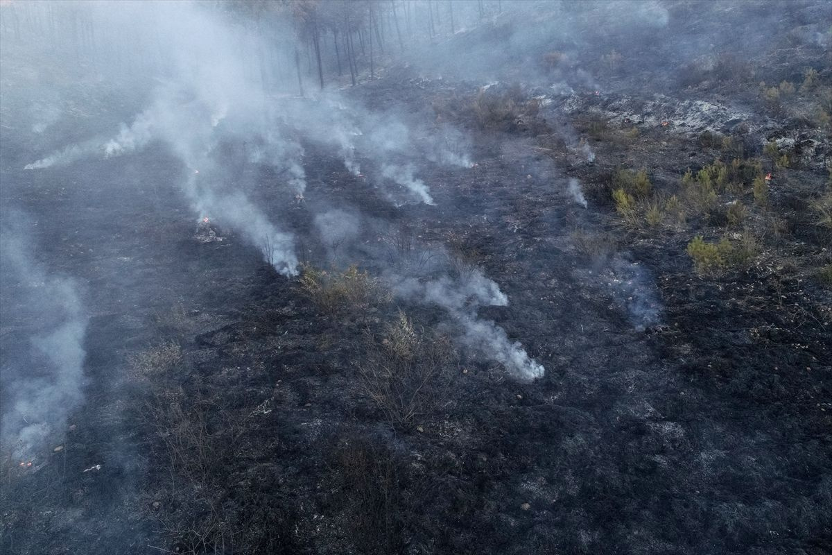 Muğla'dan sonra Manavgat'ta da orman yangınları korkuttu