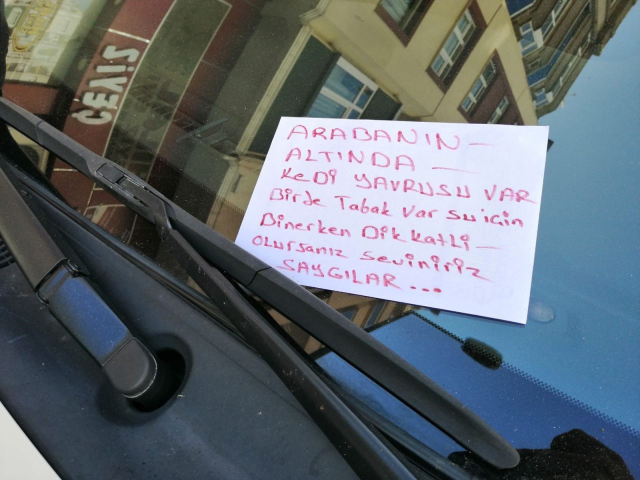 Bir vatandaş tarafından kedi için arabanın üzerine bırakılan not duygulandırdı!