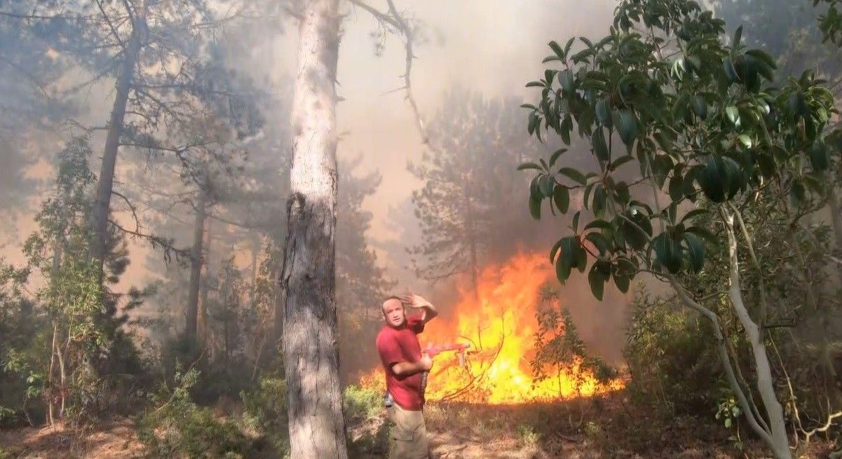 Orman Genel Müdürlüğü açıkladı! Ağustos'ta yüzlerce hektarlık ormanlar yok oldu