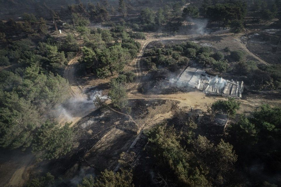 Çanakkale'deki yangından geriye kalan çok acı kareler