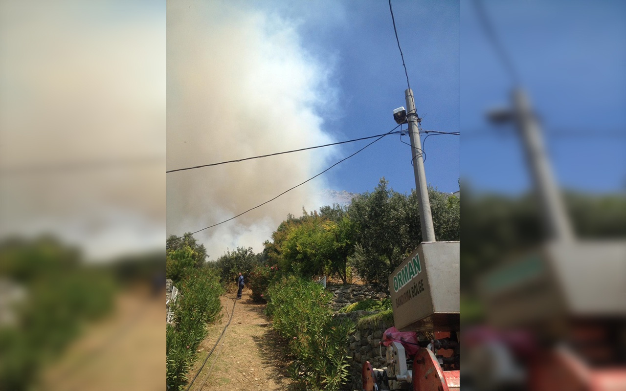 Marmara Adası ve Burgazada'da orman yangını