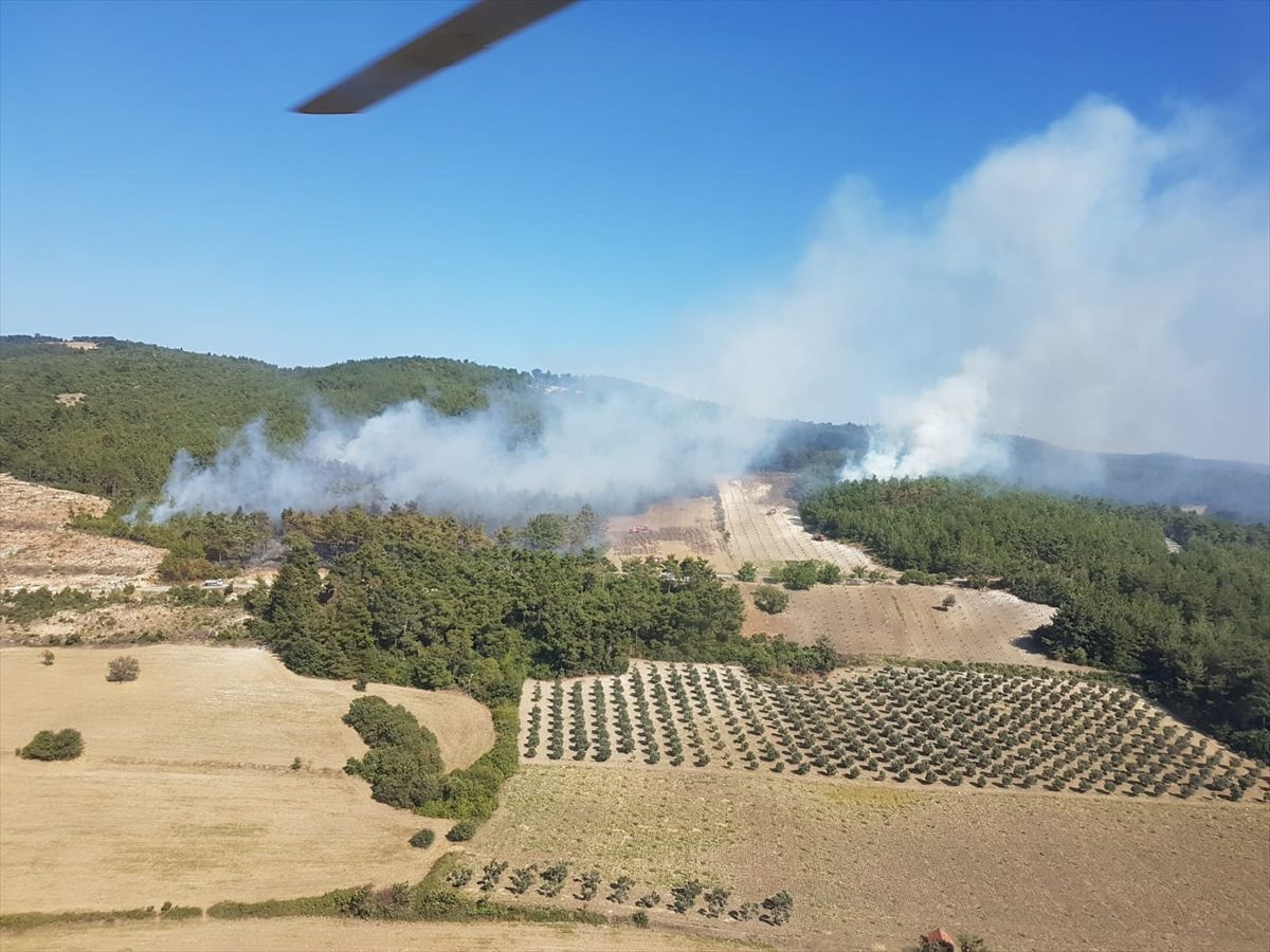 Marmara Adası ve Burgazada'da orman yangını