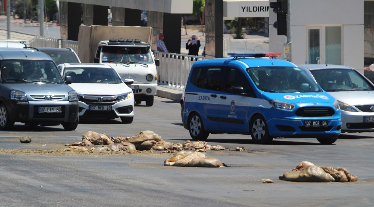 Antalya'da TIR'dan caddeye kurban atıkları döküldü