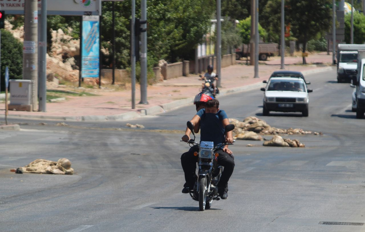 Antalya'da TIR'dan caddeye kurban atıkları döküldü