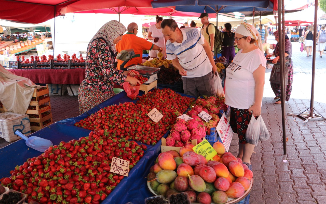 Antalya Gazipaşa'da mango hasadı Tanesi 35 lira