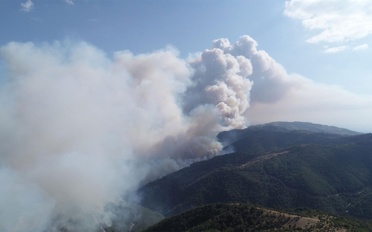 İzmir'de yangın büyüyor! Köy boşaltıldı