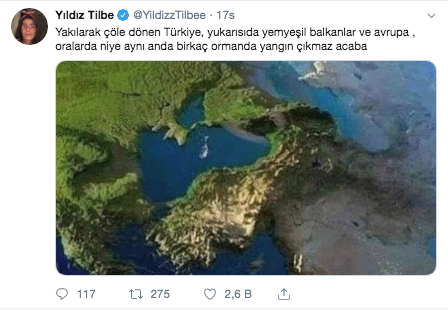 Yıldız Tilbe orman yangınlarına sessiz kalamadı! Twitter'dan isyan etti