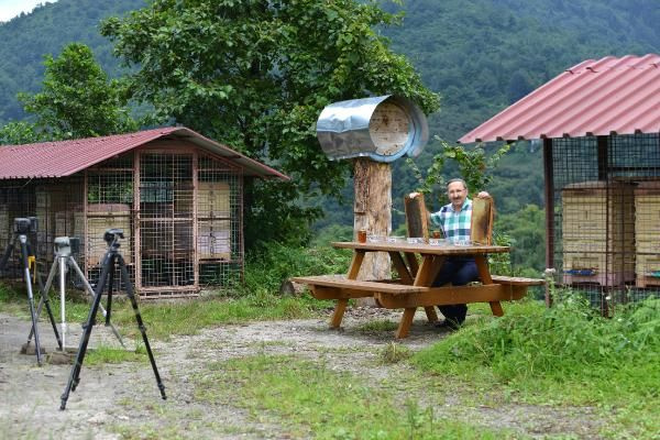 Trabzon'un Sürmene ilçesinde arıcılık tesisine ayı dadandı! Onlar bile balın iyisinden anlıyor